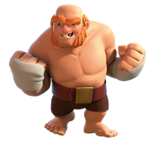Boxer Giant
